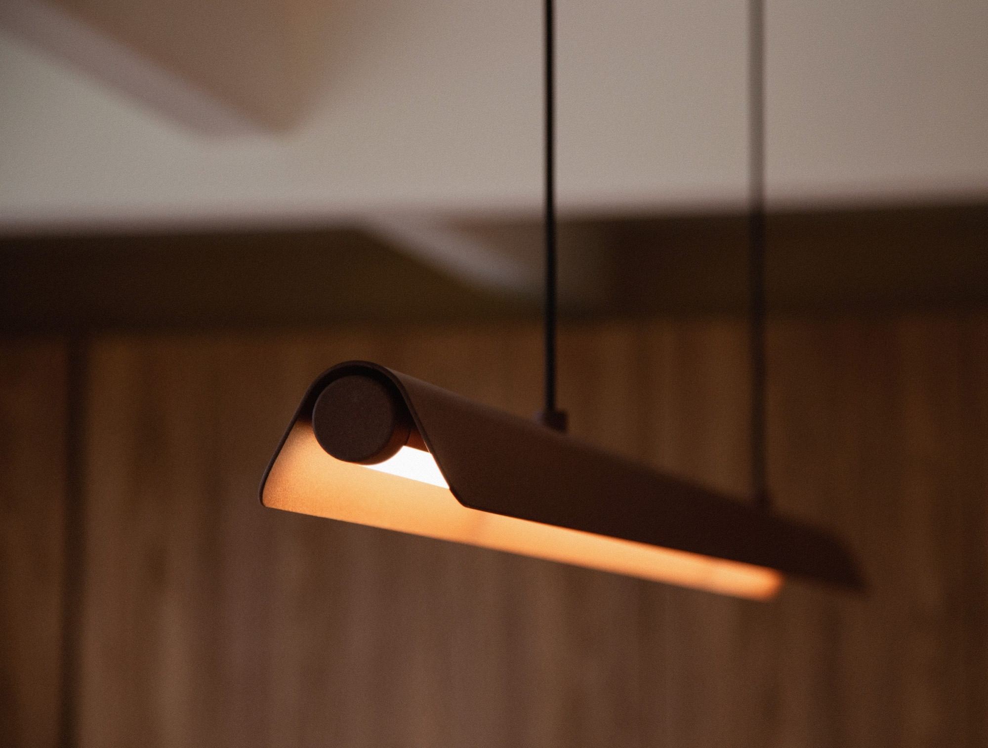 Pendant light detail